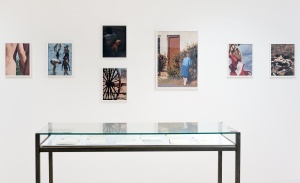 Vue de l'exposition “Trophées” / Crash Gallery du 31 janvier au 15 mars 2020