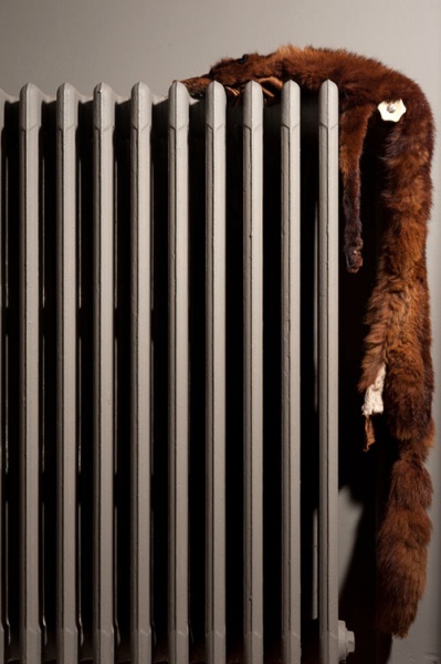 "Faune domestique #16" - 2015 - © Frédéric Iovino
