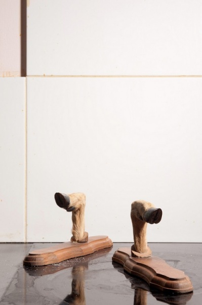 iovino_faunedomestique_11