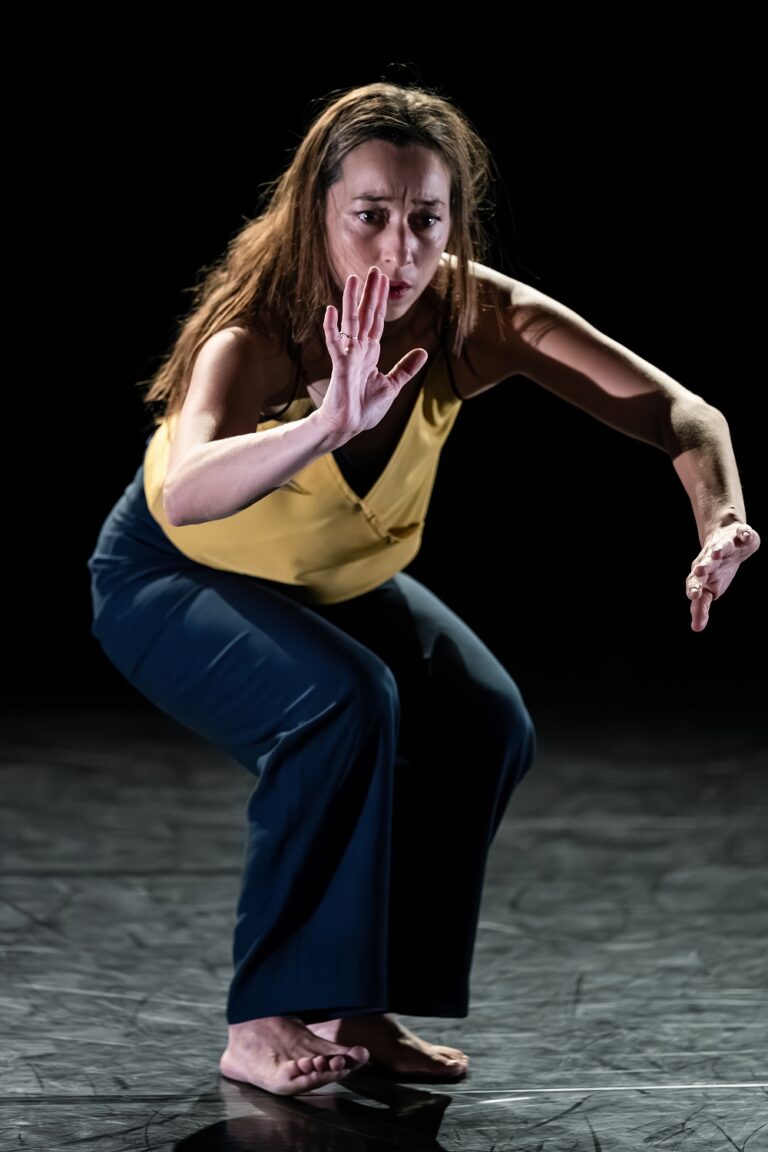 L'AUTRE de Sylvain Groud le 12 novembre 2025 au Ballet du Nord à Roubaix - Photographie © Frédéric Iovino