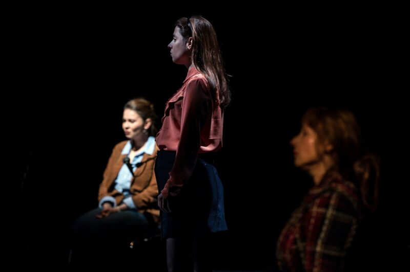 LA VALIDATION le 22 novembre 2023 au théâtre de la Verrière à Lille.
Texte et mise en scène : Antoine Lemaire.
Avec : Cyril Brisse, Muriel Cocquet, Camille Dupond, Céline Dupuis, Bruno Tuchszer. Lumières Vincent Thomas. Création vidéo Sandra Suire.
Photographie © Frédéric Iovino