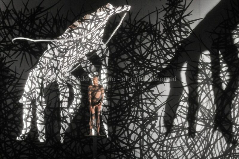 LA METAMORPHOSE - Opéra de Michael Levinas - Mise en scène : Stanislas Nordey - Avec : Fabrice di Falco (Gregor), Magali Léger (La soeur de Gregor), André Heyboer (Le père), Anne Mason (La mère), Simon Bailey (Le fondé de pouvoir), Julie Pasturaud (La femme de peine), Laurent Laberdesque, Simon Bailey, Arnaud Guillou (Les trois locataires) - du 7 au 15 mars 2011 à l'Opéra de Lille - photographie © Frédéric Iovino