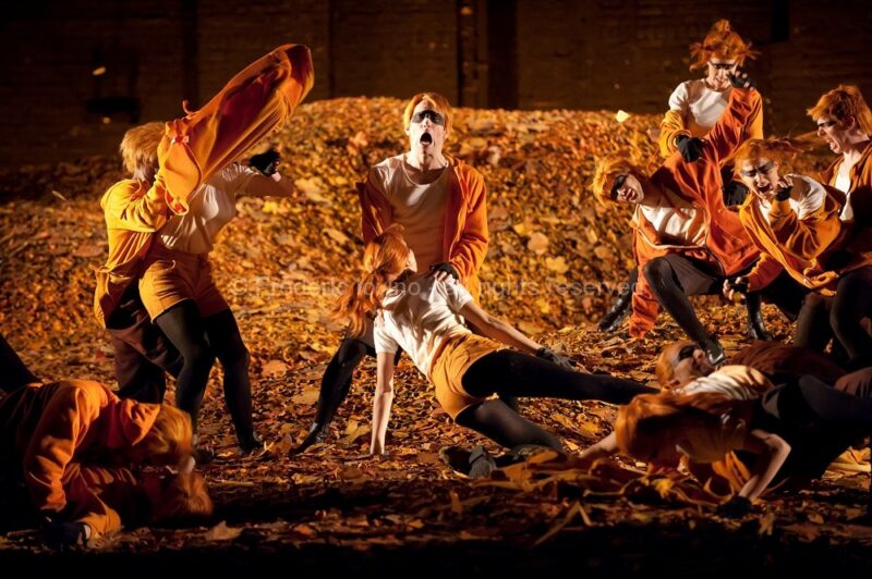 LA PETITE RENARDE RUSEE (Robert Carsen, 2014) - Du 28 janvier 2014 au 8 février 2014 à l'Opéra de Lille - Photographie © Frédéric IOVINO.