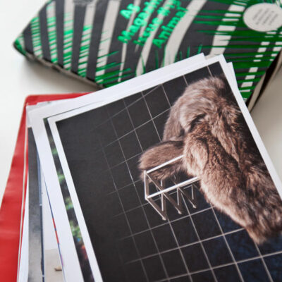 A5 Magazine "Animal" - 2014