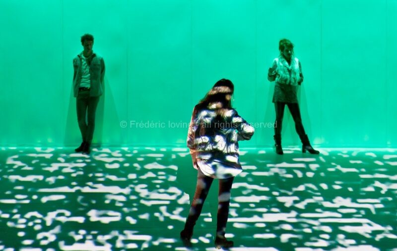 Nous voir nous - Cinq visages pour Camille Brunelle (Cie THEC, 2017)