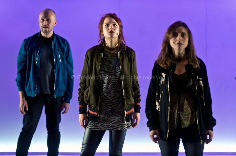 Nous voir nous - Cinq visages pour Camille Brunelle (Cie THEC, 2017)