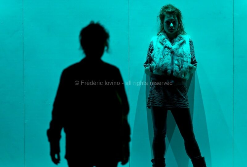 Nous voir nous - Cinq visages pour Camille Brunelle (Cie THEC, 2017)