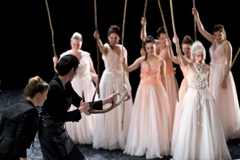 20171113_lenain_0070