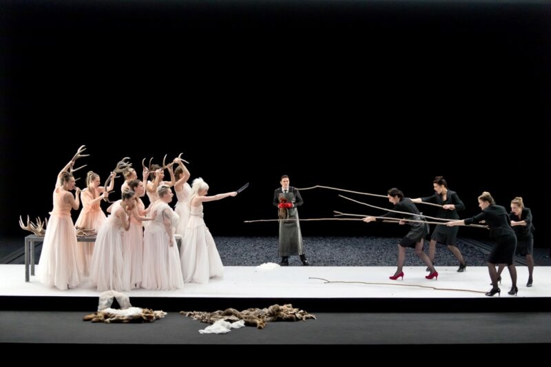 20171113_lenain_0092