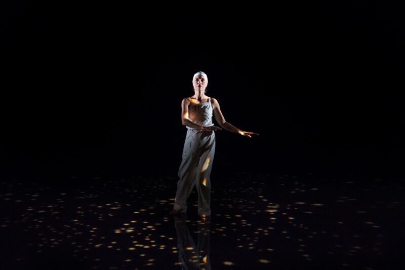 ROCKSTAR (Valeria Giuga / Cie Labkine)  Le 24 janvier 2020 à l'Atelier de Paris /CDCN, La Cartoucherie, Paris (75) -  Chorégraphie : Valeria Giuga - Danse : Noëlle Simonet - Textes, voix, création sonore : Jean-Michel Espitallier - Création sonore : Anne-James Chaton - photographie ©F.IOVINO