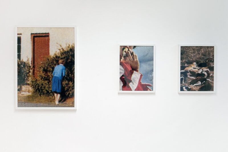 Vue de l'exposition “Trophées” / Crash Gallery du 31 janvier au 15 mars 2020