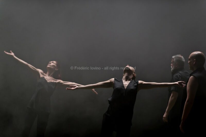 AVANT TOUTES DISPARITIONS (Thomas Lebrun, 2016) - Du 17 au 20 Mai 2016 au Théâtre National de Chaillot, Paris - Chorégraphie: Thomas Lebrun - Interprétation: Odile Azagury, Maxime Camo, Anthony Cazaux, Raphaël Cottin, Anne-Emmanuelle Deroo, Anne-Sophie Lancelin, Daniel Larrieu, Thomas Lebrun, Matthieu Patarozzi, Léa Scher, Yohann Têté, Julien-Henri Vu Van Dung - photographie © Frédéric Iovino