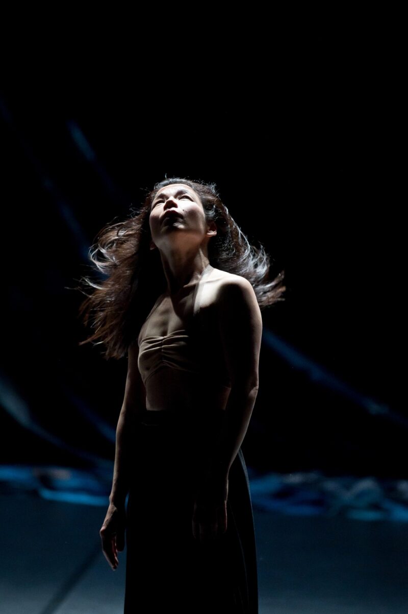 ILS N’ONT RIEN VU (Thomas Lebrun, 2019) . Les 1er et 03 juin 2019 à Tours au Théâtre Olympia, CDN, dans le cadre du festival Tours d’Horizons. Chorégraphie: Thomas Lebrun. Interprétation: Maxime Camo, Raphaël Cottin, Anne-Emmanuelle Deroo, Karima El Amrani, Akiko Kajihara, Anne-Sophie Lancelin, Matthieu Patarozzi, Léa Scher, Yohann Têté. Photographie © Frédéric IOVINO