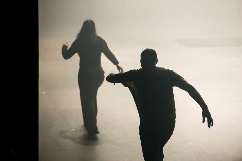 G.R.O.O.V.E. (Bintou Dembélé) le 02 mars 2023 à l'opéra de Lille.
Bintou Dembélé: conception, chorégraphie et jeu.
Avec Wilfried Blé « Wolf », Guillaume Chan Ton, Nadia Cyrielle Gabrieli Kalati « Nadeeya », Marion Gallet, Cintia Golitin, Adrien Goulinet, Mohammed Medelsi « Med », Alexandre Moreau « Cyborg », Salomon, Mpondo-Dicka « Bidjé », Michel Onomo « Meech », Féroz Sahoulamide, Marie Ndutiye danse Célia Kameni voix Charles Amblard guitare et lapsteel Avec la collaboration du Flow – Centre Eurorégional des Cultures Urbaines et la participation de Élise André, Indraline Payet, Tiphanie Casanova, Cindy Chopngui, Tassline Driss, Cécile Félix, Marie Froumentin, Adrienne Lebrun, Kinta Mendy, Michaela Piklova, Émeline Roukia, Alisson Varenne, Alfred Vivier, Shaïmâa Bekirane.
Photographie : FREDERIC IOVINO