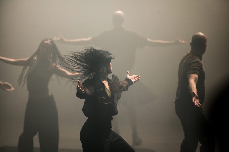 G.R.O.O.V.E. (Bintou Dembélé) le 02 mars 2023 à l'opéra de Lille.
Bintou Dembélé: conception, chorégraphie et jeu.
Avec Wilfried Blé « Wolf », Guillaume Chan Ton, Nadia Cyrielle Gabrieli Kalati « Nadeeya », Marion Gallet, Cintia Golitin, Adrien Goulinet, Mohammed Medelsi « Med », Alexandre Moreau « Cyborg », Salomon, Mpondo-Dicka « Bidjé », Michel Onomo « Meech », Féroz Sahoulamide, Marie Ndutiye danse Célia Kameni voix Charles Amblard guitare et lapsteel Avec la collaboration du Flow – Centre Eurorégional des Cultures Urbaines et la participation de Élise André, Indraline Payet, Tiphanie Casanova, Cindy Chopngui, Tassline Driss, Cécile Félix, Marie Froumentin, Adrienne Lebrun, Kinta Mendy, Michaela Piklova, Émeline Roukia, Alisson Varenne, Alfred Vivier, Shaïmâa Bekirane.
Photographie : FREDERIC IOVINO