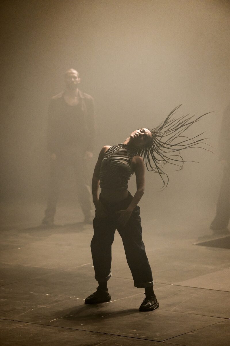 G.R.O.O.V.E. (Bintou Dembélé) le 02 mars 2023 à l'opéra de Lille.
Bintou Dembélé: conception, chorégraphie et jeu.
Avec Wilfried Blé « Wolf », Guillaume Chan Ton, Nadia Cyrielle Gabrieli Kalati « Nadeeya », Marion Gallet, Cintia Golitin, Adrien Goulinet, Mohammed Medelsi « Med », Alexandre Moreau « Cyborg », Salomon, Mpondo-Dicka « Bidjé », Michel Onomo « Meech », Féroz Sahoulamide, Marie Ndutiye danse Célia Kameni voix Charles Amblard guitare et lapsteel Avec la collaboration du Flow – Centre Eurorégional des Cultures Urbaines et la participation de Élise André, Indraline Payet, Tiphanie Casanova, Cindy Chopngui, Tassline Driss, Cécile Félix, Marie Froumentin, Adrienne Lebrun, Kinta Mendy, Michaela Piklova, Émeline Roukia, Alisson Varenne, Alfred Vivier, Shaïmâa Bekirane.
Photographie : FREDERIC IOVINO