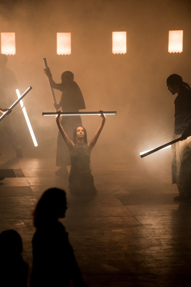 G.R.O.O.V.E. (Bintou Dembélé) le 02 mars 2023 à l'opéra de Lille.
Bintou Dembélé: conception, chorégraphie et jeu.
Avec Wilfried Blé « Wolf », Guillaume Chan Ton, Nadia Cyrielle Gabrieli Kalati « Nadeeya », Marion Gallet, Cintia Golitin, Adrien Goulinet, Mohammed Medelsi « Med », Alexandre Moreau « Cyborg », Salomon, Mpondo-Dicka « Bidjé », Michel Onomo « Meech », Féroz Sahoulamide, Marie Ndutiye danse Célia Kameni voix Charles Amblard guitare et lapsteel Avec la collaboration du Flow – Centre Eurorégional des Cultures Urbaines et la participation de Élise André, Indraline Payet, Tiphanie Casanova, Cindy Chopngui, Tassline Driss, Cécile Félix, Marie Froumentin, Adrienne Lebrun, Kinta Mendy, Michaela Piklova, Émeline Roukia, Alisson Varenne, Alfred Vivier, Shaïmâa Bekirane.
Photographie : FREDERIC IOVINO