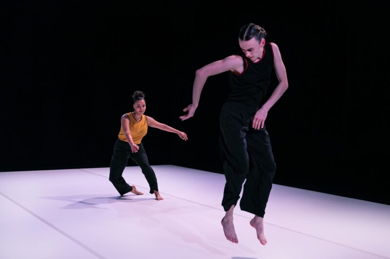 L’ELOGE DES POSSIBLES (Raphaël Cottin / Cie La poétique des signes) le 09.12.2024 au CCNT Tours - Photographie © Frédéric Iovino