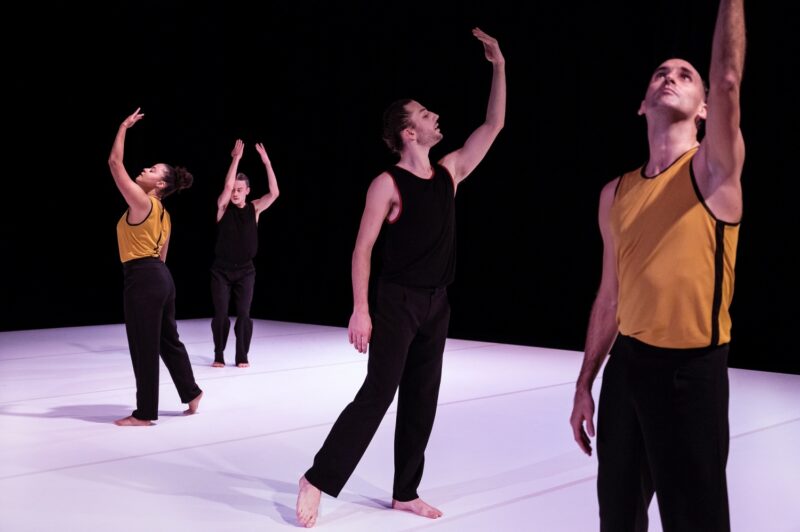 L’ELOGE DES POSSIBLES (Raphaël Cottin / Cie La poétique des signes) le 09.12.2024 au CCNT Tours - Photographie © Frédéric Iovino