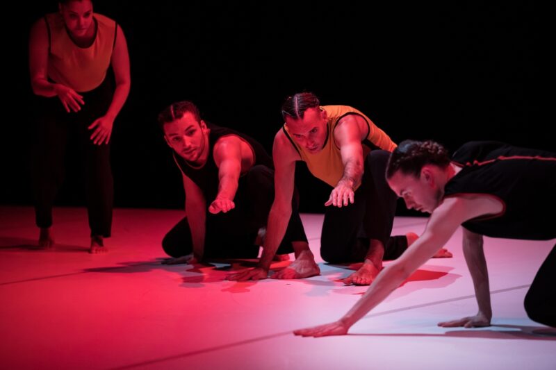 L’ELOGE DES POSSIBLES (Raphaël Cottin / Cie La poétique des signes) le 09.12.2024 au CCNT Tours - Photographie © Frédéric Iovino