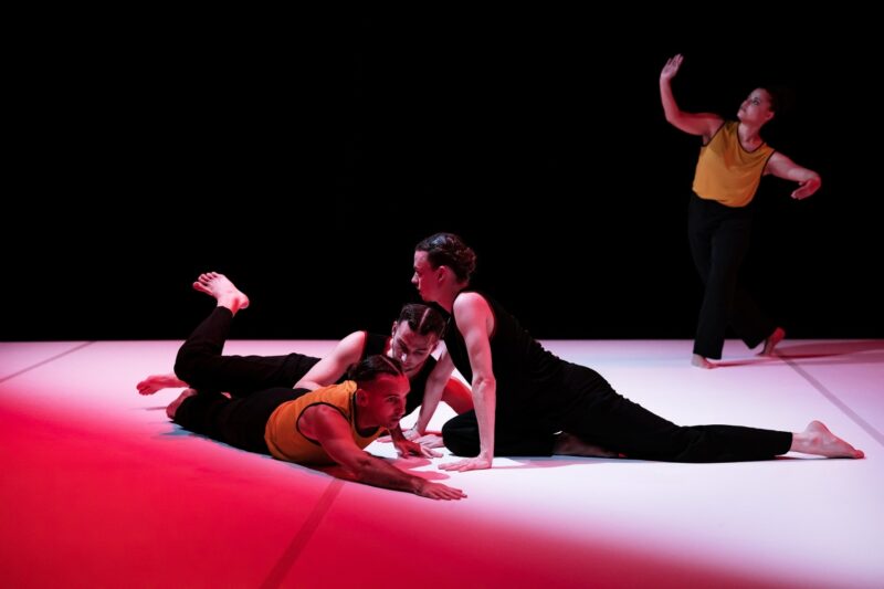 L’ELOGE DES POSSIBLES (Raphaël Cottin / Cie La poétique des signes) le 09.12.2024 au CCNT Tours - Photographie © Frédéric Iovino