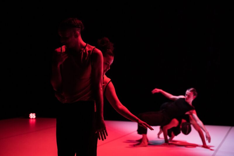 L’ELOGE DES POSSIBLES (Raphaël Cottin / Cie La poétique des signes) le 09.12.2024 au CCNT Tours - Photographie © Frédéric Iovino