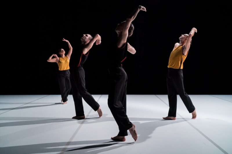 L’ELOGE DES POSSIBLES (Raphaël Cottin / Cie La poétique des signes) le 09.12.2024 au CCNT Tours - Photographie © Frédéric Iovino