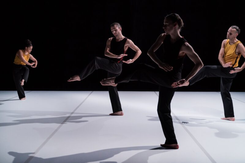 L’ELOGE DES POSSIBLES (Raphaël Cottin / Cie La poétique des signes) le 09.12.2024 au CCNT Tours - Photographie © Frédéric Iovino