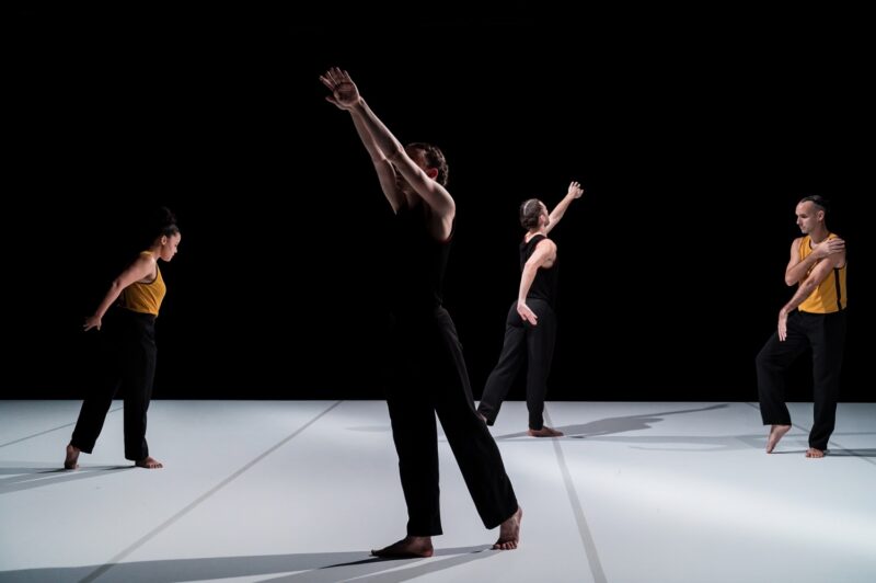 L’ELOGE DES POSSIBLES (Raphaël Cottin / Cie La poétique des signes) le 09.12.2024 au CCNT Tours - Photographie © Frédéric Iovino