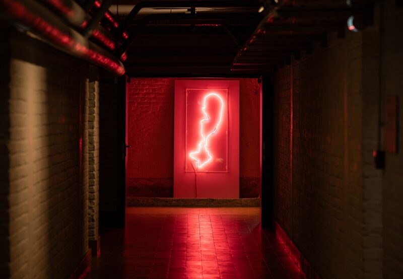 Exposition collective "Aventure de Lignes" à la Villa Cavrois, à Croix, le 18 novembre 2025.
Artistes Exposés : Ulrich Rückriem, Pascal Pesez, Sol LeWitt, François Morellet, Joël Fisher, Günther Förg, Diogo Pimentão, Robert Morris, Laurent Pariente, Giuseppe Penone, Alexandre Léger, Silvia Bächli, Tatiana Trouvé, David Tremlett, Gilgian Gelzer, Henri Michaux, Ryo Orikasa, Jean-Michel Alberola, Raoul Ubac.
Photographie © Frédéric Iovino