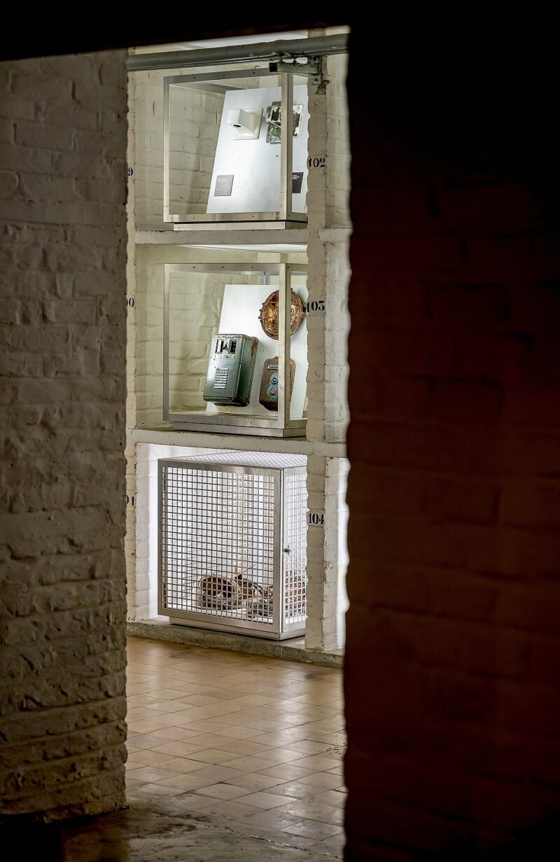 Exposition collective "Aventure de Lignes" à la Villa Cavrois, à Croix, le 18 novembre 2025.
Artistes Exposés : Ulrich Rückriem, Pascal Pesez, Sol LeWitt, François Morellet, Joël Fisher, Günther Förg, Diogo Pimentão, Robert Morris, Laurent Pariente, Giuseppe Penone, Alexandre Léger, Silvia Bächli, Tatiana Trouvé, David Tremlett, Gilgian Gelzer, Henri Michaux, Ryo Orikasa, Jean-Michel Alberola, Raoul Ubac.
Photographie © Frédéric Iovino