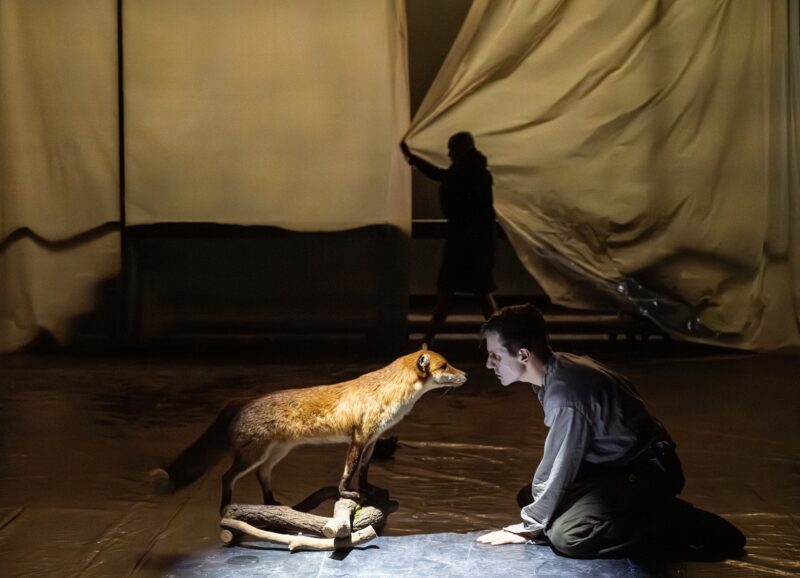 LA BONNE AME DU SE-TCHOUAN de Nora Granovsky / cie BVZK au Théâtre du Nord à Lille le 19 janvier 2026 - Photographie © Frédéric Iovino