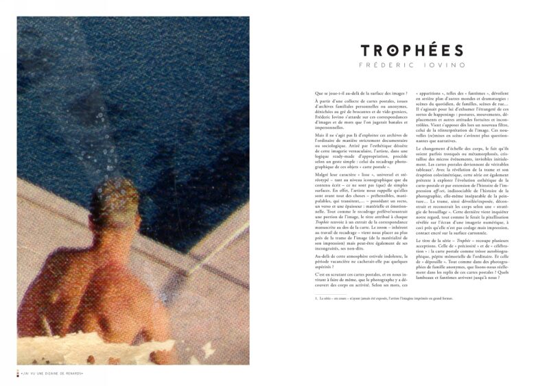 Série "Trophées" publiées dans la revue "Ver(r)ue", accompagnée d'un texte de Henri Duhamel - 2018